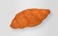 NOV 충북혁신도시점