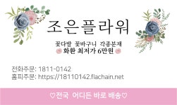 바나나퀵서비스