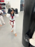 세교 mma 태권도장