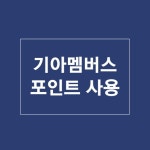 카토피아손세차장