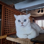 묘한호텔