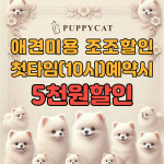 퍼피캣 애견미용 애견호텔 인천루원시티점