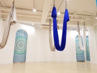 메디요가필라테스협회