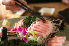 이가참치