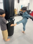 세교 mma 태권도장