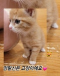 미사동물병원