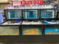 리플러스수산코너 침촌점