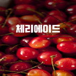 플레이존PC