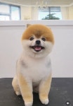 펫밀리샵