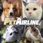 펫에어라인