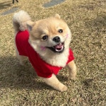 같이할개 반려견유치원 대전점