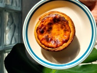 이다숲