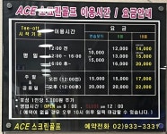 ACE스크린골프