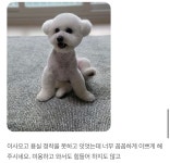 펫밀리샵