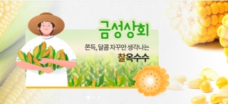 금성상회
