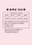 댕가댕가반려견유치원