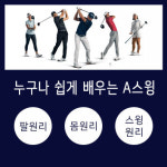 300골프