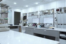 그레이스 고양이병원