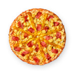 고피자 충남대점