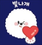 빛나개애견 유치원