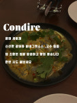 콘디레