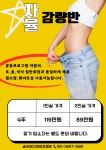 숲속의다이어트캠프