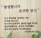 백석중앙교회