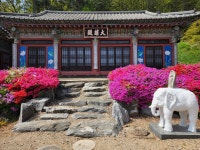 덕지사