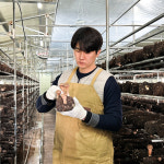 농업회사법인두레팜