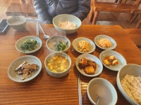 남새밭 보리밥
