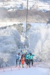 휘닉스평창호텔