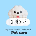 몽개몽개 애견호텔&애견유치원