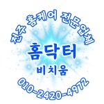 홈닥터 비치움