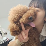 탐나개