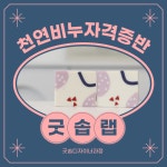 디그니파이