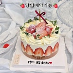 수피아케이크