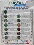 엔젤천연헤나