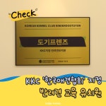 도기프렌즈 강아지유치원