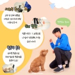 도기프렌즈 강아지유치원