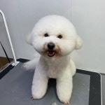 온천동물병원