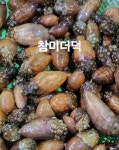 보라수산