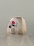 살롱 드 왈왈