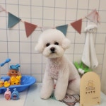 예쁘댕 오창
