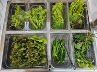 삼정참숯생고기