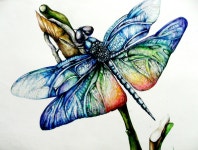 무지개미술교실