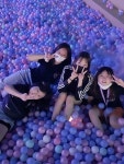 정관코리아합기도