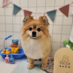 예쁘댕 오창