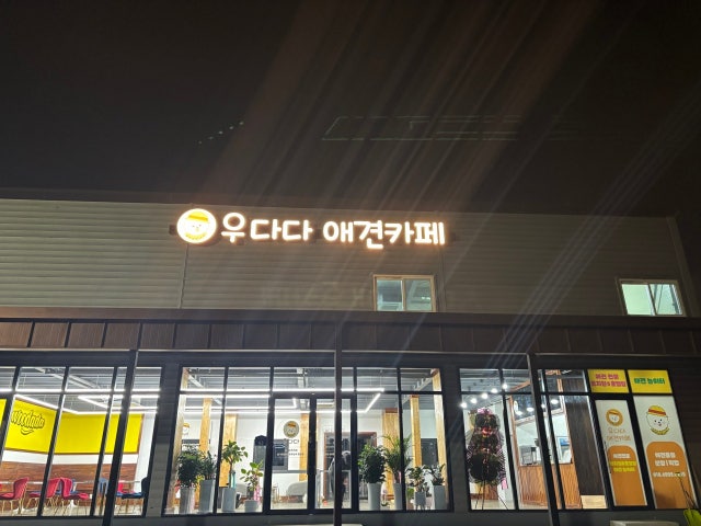 우다다