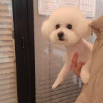 꼬로롱멍