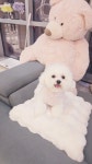 쁘띠멍